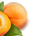 Apricot Jam Right Thumb