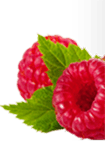 Raspberry Jam Left Thumb