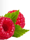 Raspberry Jam Right Thumb