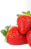 Light Strawberry Jam Left Thumb